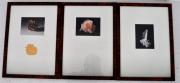 Lote 1650448 - Lote de 3 litografias sobre papel, pinha, rosa e cristal, com moldura, 33x45,5 cm