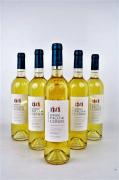 Lote 1690178 - Lote de 6 garrafas, Vinho Herdade Paço do Conde Branco 0.75 Lt , 2007 Alentejo. Proveniência: Distribuidor de Vinhos.