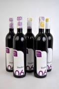 Lote 1740058 - Lote de 5 garrafas, Vinho Blaudus Colheita Seleccionada Tinto 0.75 Lt, 2006 Bairrada. Proveniência: Distribuidor de Vinhos.