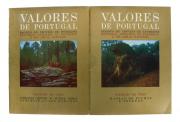 Lote 2002 - LIVROS “VALORES DE PORTUGAL IMÓVEIS DE INTERRESSE HISTÓRICO ARTISTICO OU PITORESCO E DE OBRAS NATURAIS CONCELHO DE VISEU” - Livros idênticos à venda em site da especialidade por € 100. 2 Volumes: “Estradas Pontes e Outras Obras Atribuídas aos Romanos” e “Massas de Rochas e Penedos”. ...