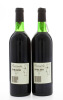 Lote 1176 - BAIRRADA BORLIDO 1991 – 2 Garrafas de Vinho Tinto, Colheita 1991, Caves Borlido Lda, Sangalhos, (750ml – 12%vol) - 2