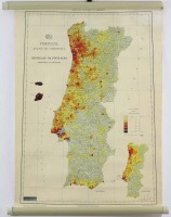 Lote 23 - MAPA "PRESIDÊNCIA DO CONSELHO DE MINISTROS, SECRETÁRIA DE ESTADO DO AMBIENTE, COMISSÃO NACIONAL DO AMBIENTE - Mapa em papel dos anos 50/60, escala 1:1000.00. Dim: 70 x 50 cm. Nota: Sinais de uso, com sistema de suspensão e de enrolamento, em por