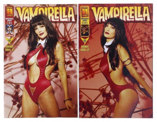 Lote 98 - REVISTAS DE BANDA DESENHADA "VAMPIRERLLA" - 2 vols. Por David Conway e Ken Lau. N.º 21 e 22 "Dangerous games", 1 e 2. Edição Harris Comics, 1999. Conjunto com valor estimado de € 34. Dim: 26x17 cm. Encadernações brochadas. Nota: exemplares bem e