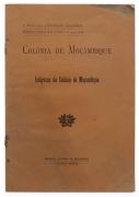 Lote 2296 - OS INDÍGENAS DA COLÓNIA DE MOÇAMBIQUE. COLÓNIA DE MOÇAMBIQUE, LIVRO - Primeira Exposição Colonial Portuguesa. Editora: Porto, 1934. lmprensa Nacional de Moçambique. Dim: 24,5x7 cm. Encadernação de capa de brochura. Nota: manchas e acidez