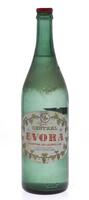 Lote 3644 - CENTRAL EVORA - Garrafa de Central Evora, A Central de Licores, Lisboa, (1000ml - 45%vol.)