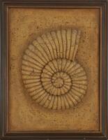 Lote 5267 - NAUTILUS, QUADRO DECORATIVO - Moldura em madeira com motivo de nautilus, relevado a resina e pó de pedra. Dim: 69x53 cm. Nota: sinais de armazenamento. Ligeiras falhas e defeitos