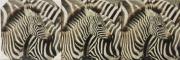 Lote 15 - QUADROS DECORATIVOS (3) - Impressão sobre tela, "Zebra". Artigo novo Dim: 50x50 cm.