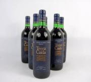 Lote 279 - Lote de 6 garrafas de Vinho Tinto Terra Caída engarrafado por António Bernardino Paulo da Silva, Azenhas do Mar