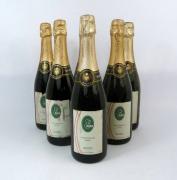 Lote 654 - Lote de 6 garrafas de Vinho Espumante Método Clássico Bruto Super Reserva Tinto, Caves Borlido, para coleccionador 
