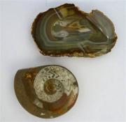 Lote 137 - Lote composto por fóssil em pedra com cerca de 14 cm de diâmetro e placa de quartzo com 2x12x19 cm