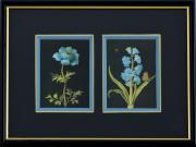 Lote 122 - FLORES - Impressão sobre papel, motivo "Flores". Dim: mancha 13x9 cm (cada). Dim: moldura 36x35 cm