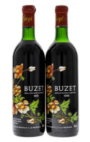 Lote 2335 - BUZET 1989 - 2 garrafas de Vinho Tinto de França. Buzet, Appellation Buzet Controlée 1989, Les Vignerons de Buzet, Buzet-sur-Bais, (750ml - 12%vol.). Nota: Estas garrafas têm a particularidade de serem pintadas. O rótulo é pintado e não em pap