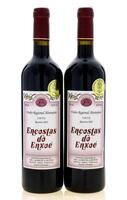 Lote 2240 - ENCOSTAS DO ENXOÉ RESERVA 2012 - 2 Garrafas de Vinho Tinto, das Castas Aragonez, Alicante Bouschet, Trincadeira e Touriga Nacional, Vinho Regional Alentejano, Soc. Agrícola de Pias, (750ml - 14%vol). Nota: este vinho obteve uma Medalha de Ouro