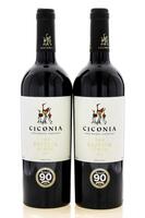 Lote 2272 - CICÓNIA RESERVA 2015 - 2 Garrafas de Vinho Tinto Regional Alentejano, Cicónia Reserva Blend 2015, das Castas Aragonez, Touriga Nacional e Syrah entre outras, (750ml - 14%vol.). Nota: este vinho foi galardoado com uma Medalha de Ouro em 2016 no