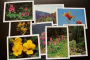 Lote 577 - POSTAIS - TEMA PORTUGAL - 8 un - Colecção completa de postais de plantas endémicas da Madeira (novos)