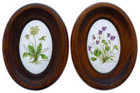 Lote 113 - PLACAS EM ESMALTE - Par de placas ovais em esmalte com decoração policromada, motivo "Viola Odorata" e "Primula Officinalis". Dim: mancha 14x9 cm. Dim: molduras 22x17 cm