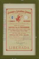 Lote 525 - TÍTULO DE 1 ACÇÃO DA "SOCIEDADE DE AGRICULTURA COLONIAL" - Sociedade Anonyma de Responsabilidade Limitada com Capital de 4.700:000.000$00, Título de 1 Acção, Nº 36087 de Esc. 100$00, emitido em Lisboa a 21 de Julho de 1944. Dim: mancha 43x27 cm