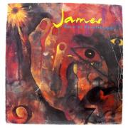 Lote 1711 - LP de vinil - James - Born of frustration, 1992 Phonogram, Nota: em estado entre Bom e Muito Bom