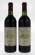 Lote 1359 - Duas garrafas de vinho tinto da Região DOURO, da marca QUINTA DO CÔTTO, 1990