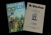 Lote 1486 - Dois livros: "Cultura da Vinha", de António Luís de Seabra, 1937; "A Vinha", Publicação do Jornal Agrícola "O Lavrador", 1949