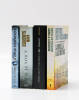 Lote 61 - LIVROS BESTSELLERS DE FICÇÃO POLICIAL - 4 Vols. de temas de ação policial, thriller e suspense, sendo: "A Boa Filha", por Karin Slaughter, Ed. Harper Collins, 2017; "A Verdade sobre o caso Harry Quebert", por Joel Dicker, Ed. Alfaguara, 2018, "G - 2