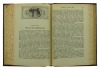 Lote 431 - O CONFLITO DOS SÉCULOS, LIVRO ANTIGO - Por Ellen G. White (n. 1827-1915). Publicadora Atlântico. Encadernação sintética do editor. Livro antigo sem data. 536 págs. 21.5x15.5cm. Bem Conservado. Exemplar idêntico encontra-se à venda por € 15. Con - 3