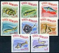 Lote 428 - SELOS ROMÉNIA – Série Completa de 8 valores de 1964 Temática “Peixes” nova e com goma original (**/MNH) – Notas: Luxo, extraordinária qualidade, sem falhas