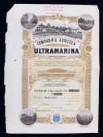 Lote 80 - COMPANHIA AGRÍCOLA ULTRAMARINA - Título de 1 acção, Esc. 100$00. Ano 1919. Curioso. Apresenta carimbos