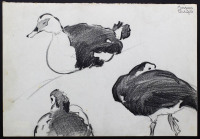 Lote 178 - MARQUES PERDIGÃO (n.1932) - Original – Desenho a lápis sobre papel, assinado, motivo "Estudos de Animais – Patos”, com 22x32 cm (papel com manchas) – Sem Moldura. Obra deste autor foi vendida por € 644 na Oportunity Leilões. Nota: António Soare