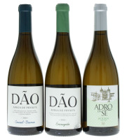 Lote 301 - GARRAFAS DE VINHO BRANCO - Conjunto de 3 garrafas de Vinho Branco, DOC Dão sendo 1 Adega de Penalva 2020, monocasta cerceal branco. Uma casta generosa e bastante ácida, que origina vinhos de grande longevidade e enorme elegância, (750ml – 13%v