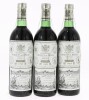 Lote 15 - HEREDEROS DEL MARQUÉS DE RISCAL RESERVA 1992 - 3 garrafa de Vinho Tinto Espanhol, Rioja DOC, Reserva 1992, Vinos de los Herederos del Marqués de Riscal, Elciego, Espanha, (750ml - 12,5%vol.). Nota: conjunto com um valor de venda de € 180. Em cai - 2