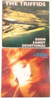 Lote 31 - THE TRIFFIDS DOIS DISCOS DE VINIL - conjunto composto por dois LP's, dos quais o primeiro intitulado Born Sandy Devotional e editado em 1986 pela Transmédia para a Hot Records, com o código HOTLP 1023 e o segundo, intitulado Calenture, em 1987,