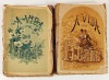 Lote 50 - A VIDA DAS FLORES. 2 VOLS - Alphonse Karr; Taxile Delord; "traduzida por uma sociedade litteraria sob a direcção de Duarte de Oliveira, Junior", Lisboa, David Corazzi - Editor, 1883-1884. 2 volumes, em brochura. Obra muito invulgar. De destacar 