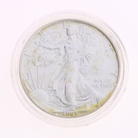 Lote 159 - ESTADOS UNIDOS DA AMÉRICA, MOEDA DE 1 DOLLAR EM PRATA 999, ANO 1993 - Moeda dos Estados Unidos da América, American Silver Eagle de 1993. Peso indicativo: 31.1 g. Dim: 40,6 mm (diâmetro). Nota: apresentada em invólucro de acrílico. Sem classifi