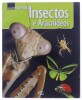 Lote 221 - CONJUNTO DE 3 LIVROS - "VIDA NA TERRA" - Conjunto composto pelos livros "Mamíferos marinhos","Insectos e Aracnídeos" e "Predadores". Nota: com sinais de uso e armazenamento - 3