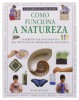 Lote 352 - "À DESCOBERTA DO NOSSO MUNDO", LIVROS - Conjunto de 3 livros com os títulos "Como funciona a Terra"," Como funciona a natureza" e "Como funciona a ciência", edição Selecções do Reader´s Digest, capa dura com sobrecapa, ilustrados Nota: com sina - 3