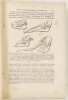 Lote 45 - COURS ÉLÉMENTAIRE DE ZOOLOGIE. AVEC 765 FIGURES DANS LE TEXTE - Rémy Perrier, Paris, Masson et Cie, Éditeurs, 1912. De destacar as extraordinárias e inúmeras ilustrações intercaladas no texto. Robusta encadernação editorial em tela com títulos e - 3