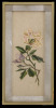 Lote 29 - NATUREZA MORTA - Original - Pintura sobre seda, não assinada, motivo "Natureza Morta - Rosa". Dim: mancha 37x14 cm. Dim: moldura 44x22 cm - 3