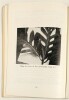 Lote 17 - PLANTAS ÚTEIS DA FLORA DE S. TOMÉ E PRINCÍPE. MEDICINAIS, INDUSTRIAIS E ORNAMENTAIS - Luís Lopes Roseira, Lisboa, Serviço Gráfico da Liga dos Combatentes, 1984. Capa de Flávio Trindade e José Cabrita Marques. Encadernação editorial em brochura. - 3