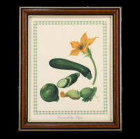 Lote 69 - QUADRO DECORATIVO - Impressão a cores sobre papel, motivo "Flor e Legumes", com 29,5x23 cm (moldura com 35x29 cm)